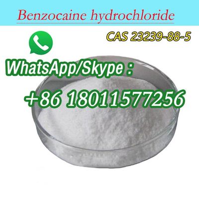 Cas 23239-88-5 Cloridrato de benzocaína C9H12ClNO2 Cloridrato de etilo 4-aminobenzoato